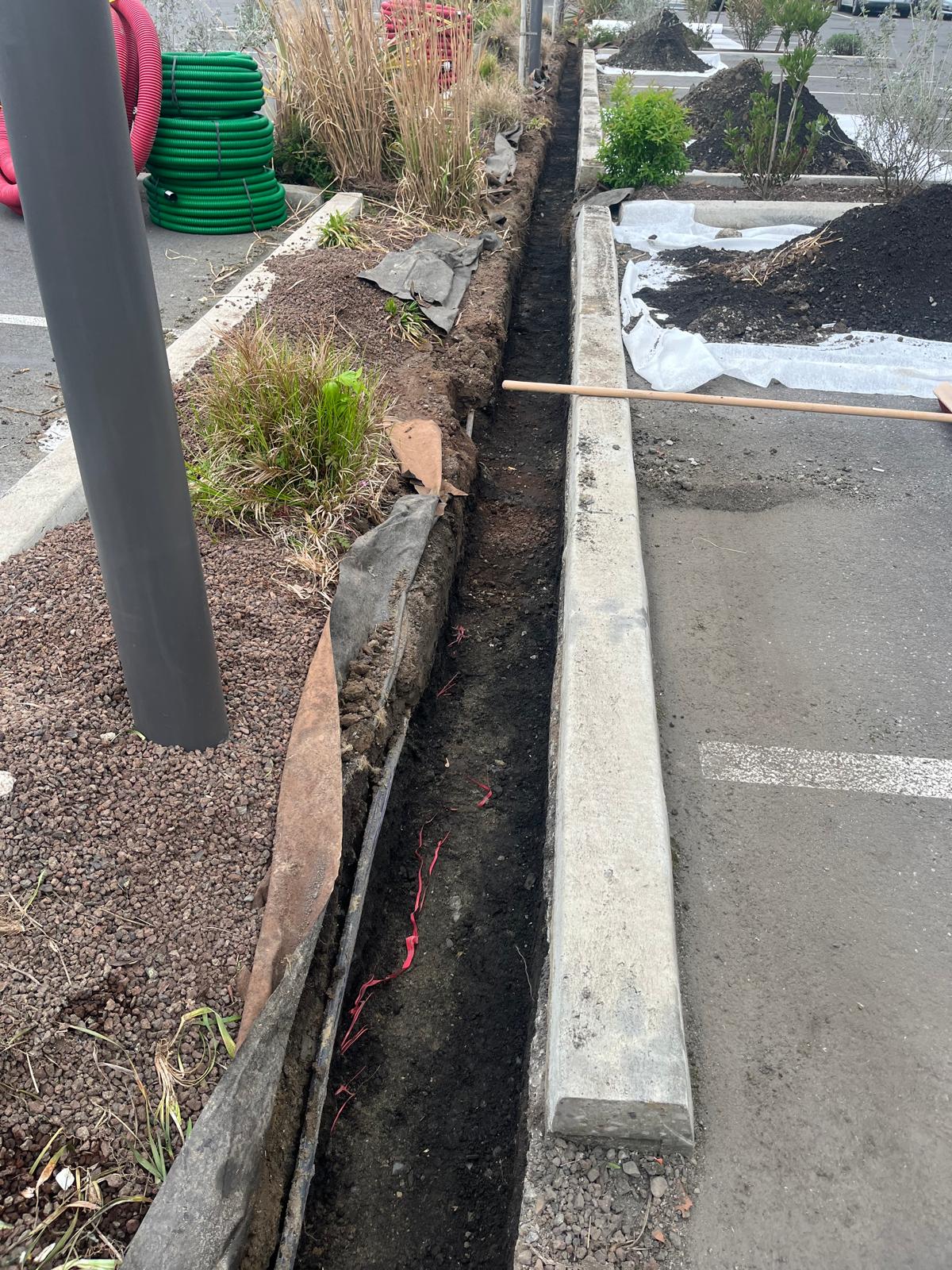 WhatsApp Image 2026-04-10 at 15.03.50 (4)