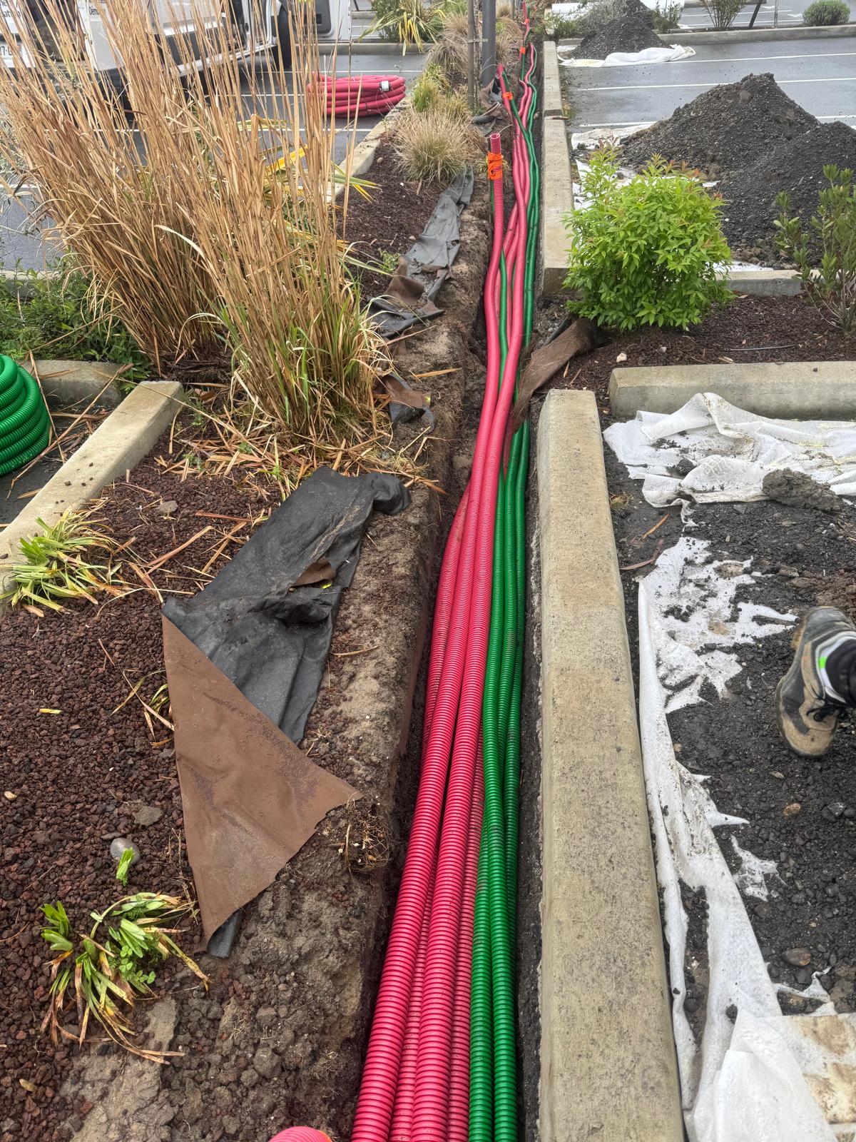 WhatsApp Image 2026-04-13 at 16.14.14 (4)