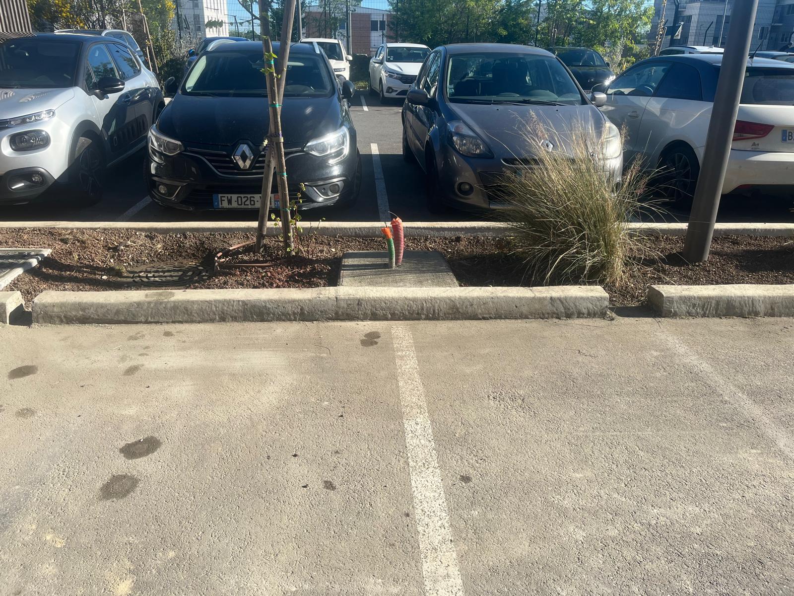 WhatsApp Image 2026-04-15 at 16.54.14 (5)